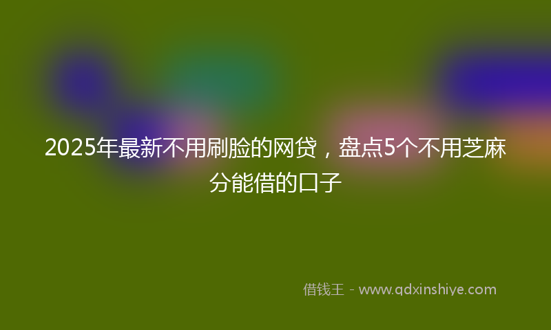 2025年最新不用刷脸的网贷，盘点5个不用芝麻分能借的口子