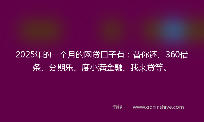 2025年的一个月的网贷口子有：替你还、360借条、分期乐、度小满金融、我来贷等。