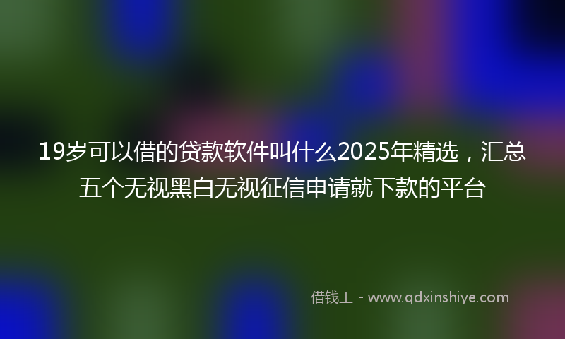 19岁可以借的贷款软件叫什么2025年精选，汇总五个无视黑白无视征信申请就下款的平台