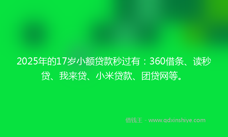 2025年的17岁小额贷款秒过有：360借条、读秒贷、我来贷、小米贷款、团贷网等。