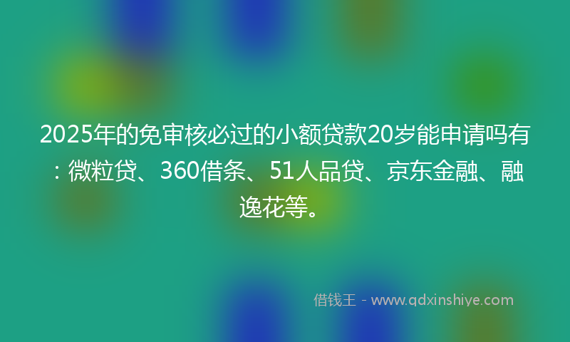 2025年的免审核必过的小额贷款20岁能申请吗有：微粒贷、360借条、51人品贷、京东金融、融逸花等。