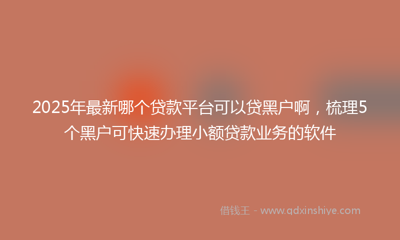 2025年最新哪个贷款平台可以贷黑户啊，梳理5个黑户可快速办理小额贷款业务的软件