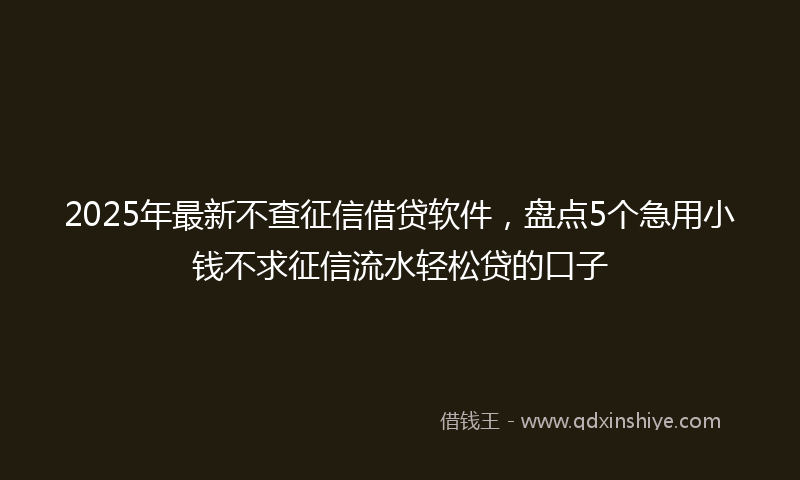 2025年最新不查征信借贷软件，盘点5个急用小钱不求征信流水轻松贷的口子