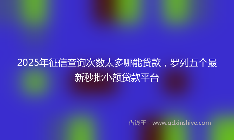 2025年征信查询次数太多哪能贷款，罗列五个最新秒批小额贷款平台
