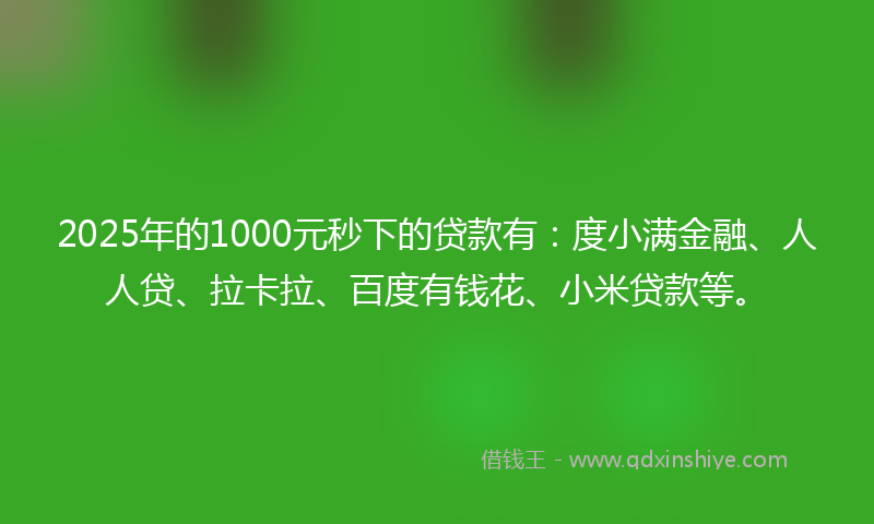 2025年的1000元秒下的贷款有：度小满金融、人人贷、拉卡拉、百度有钱花、小米贷款等。