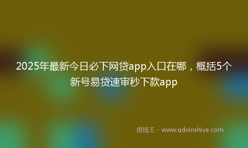 2025年最新今日必下网贷app入口在哪，概括5个新号易贷速审秒下款app