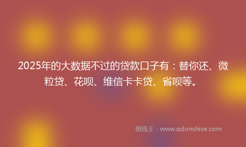 2025年的大数据不过的贷款口子有：替你还、微粒贷、花呗、维信卡卡贷、省呗等。
