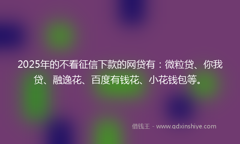2025年的不看征信下款的网贷有：微粒贷、你我贷、融逸花、百度有钱花、小花钱包等。