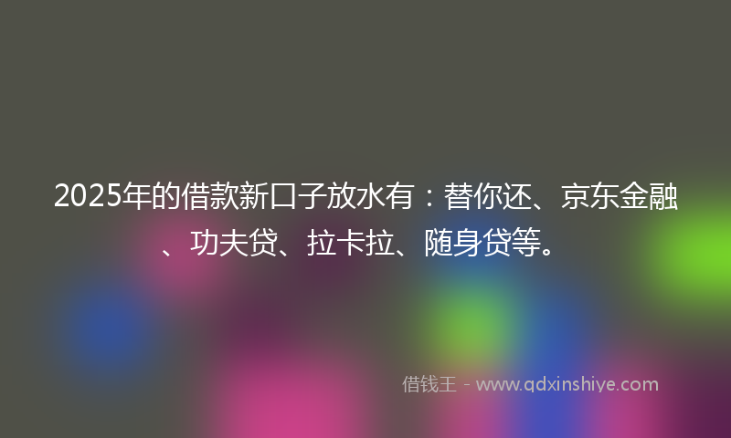 2025年的借款新口子放水有：替你还、京东金融、功夫贷、拉卡拉、随身贷等。