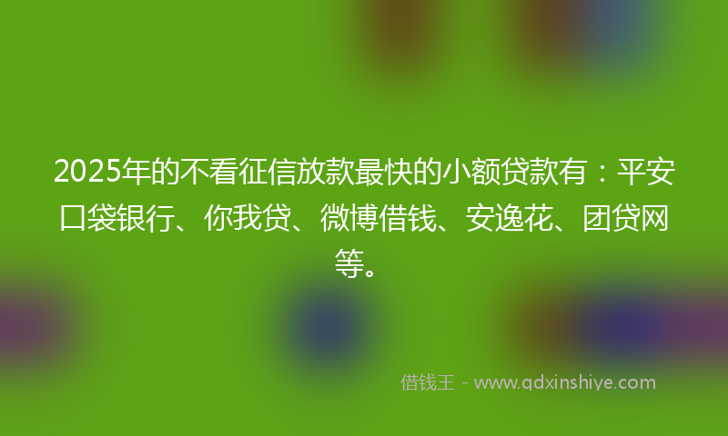 2025年的不看征信放款最快的小额贷款有：平安口袋银行、你我贷、微博借钱、安逸花、团贷网等。