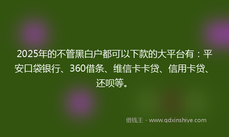2025年的不管黑白户都可以下款的大平台有：平安口袋银行、360借条、维信卡卡贷、信用卡贷、还呗等。