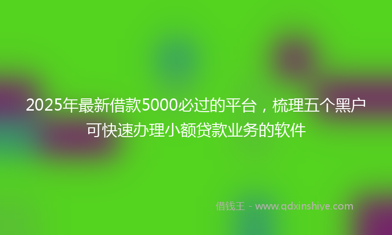2025年最新借款5000必过的平台，梳理五个黑户可快速办理小额贷款业务的软件