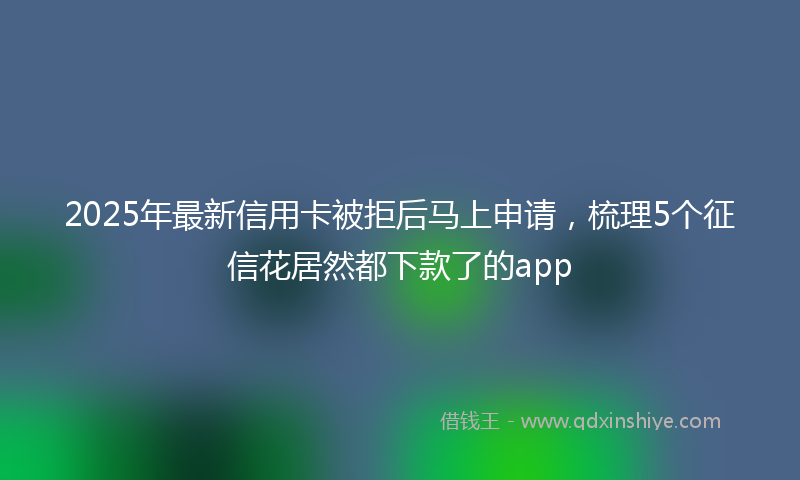 2025年最新信用卡被拒后马上申请，梳理5个征信花居然都下款了的app