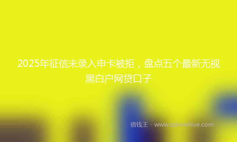 2025年征信未录入申卡被拒，盘点五个最新无视黑白户网贷口子