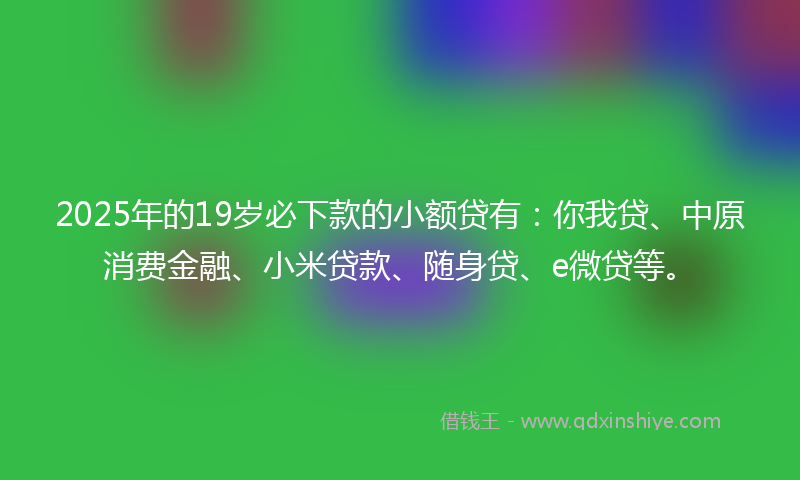 2025年的19岁必下款的小额贷有：你我贷、中原消费金融、小米贷款、随身贷、e微贷等。