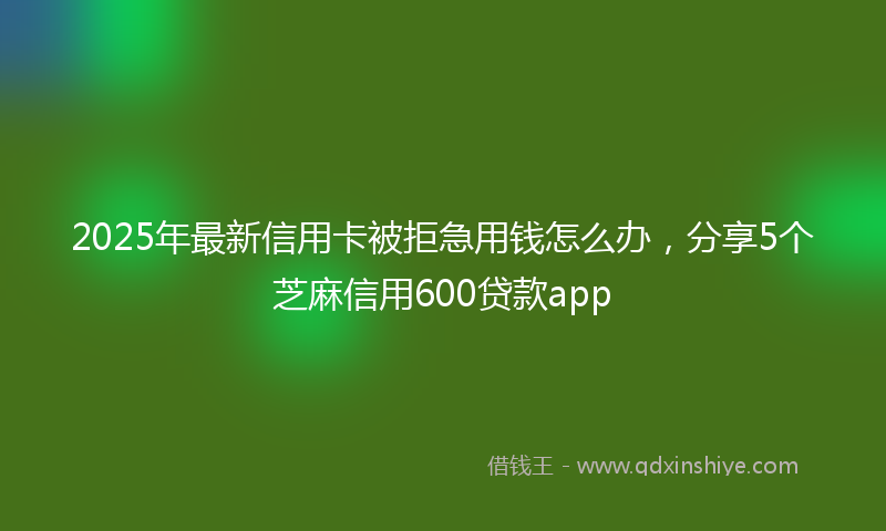 2025年最新信用卡被拒急用钱怎么办，分享5个芝麻信用600贷款app