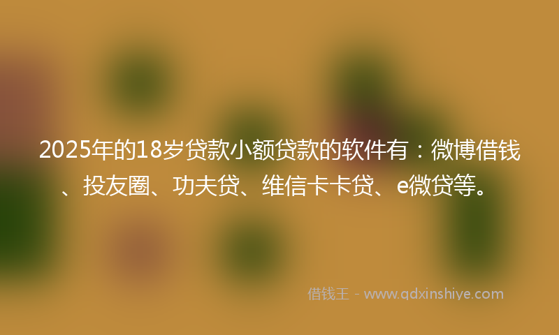 2025年的18岁贷款小额贷款的软件有：微博借钱、投友圈、功夫贷、维信卡卡贷、e微贷等。
