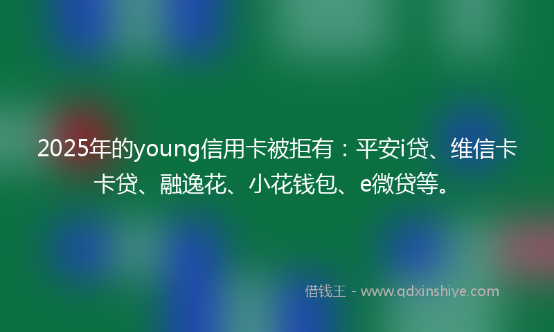 2025年的young信用卡被拒有：平安i贷、维信卡卡贷、融逸花、小花钱包、e微贷等。