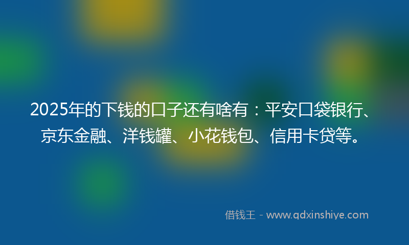 2025年的下钱的口子还有啥有：平安口袋银行、京东金融、洋钱罐、小花钱包、信用卡贷等。