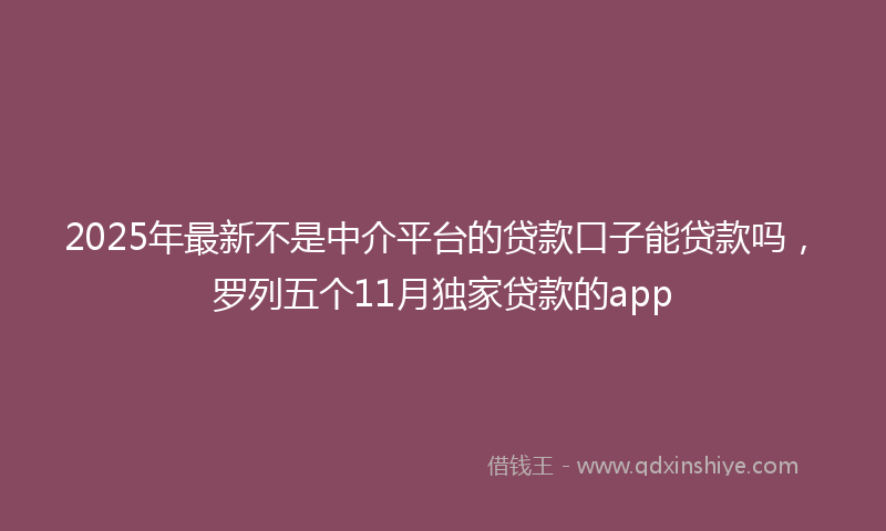 2025年最新不是中介平台的贷款口子能贷款吗，罗列五个11月独家贷款的app