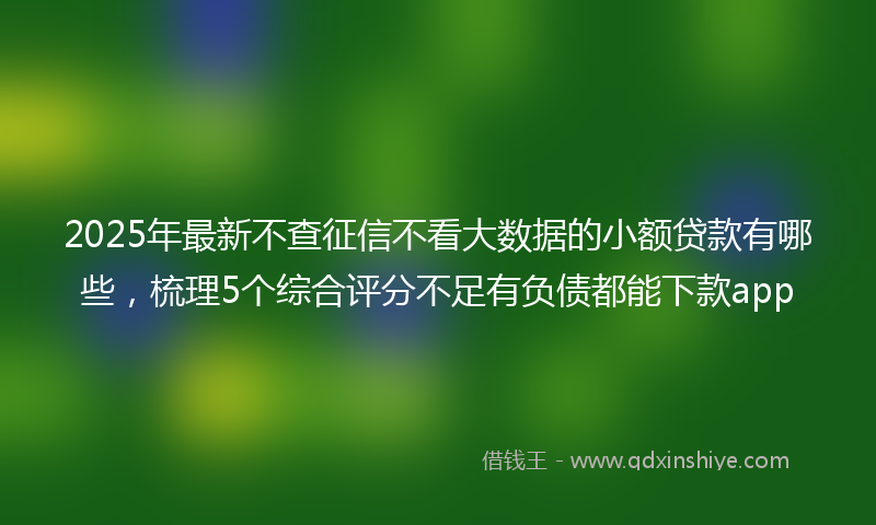2025年最新不查征信不看大数据的小额贷款有哪些，梳理5个综合评分不足有负债都能下款app