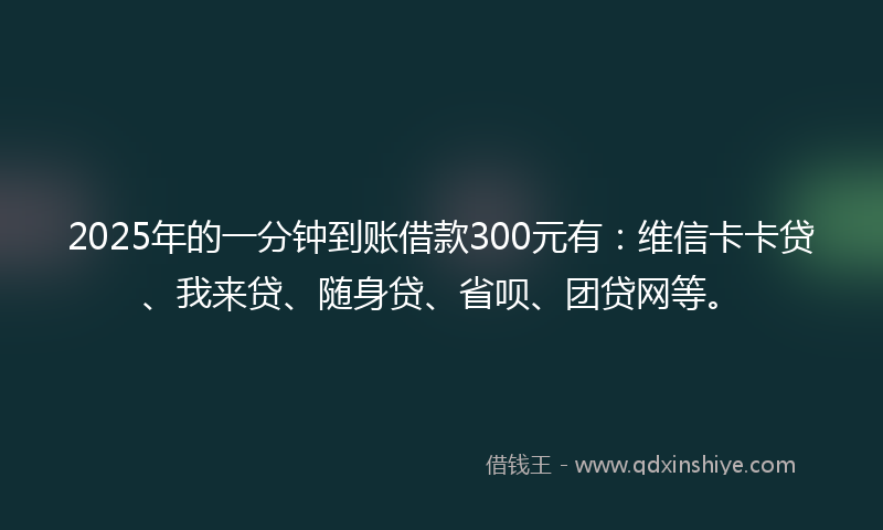 2025年的一分钟到账借款300元有：维信卡卡贷、我来贷、随身贷、省呗、团贷网等。