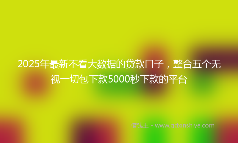 2025年最新不看大数据的贷款口子，整合五个无视一切包下款5000秒下款的平台