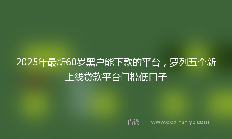 2025年最新60岁黑户能下款的平台，罗列五个新上线贷款平台门槛低口子
