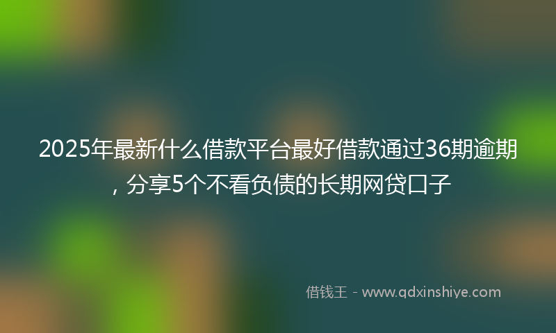 2025年最新什么借款平台最好借款通过36期逾期，分享5个不看负债的长期网贷口子