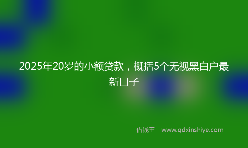 2025年20岁的小额贷款，概括5个无视黑白户最新口子