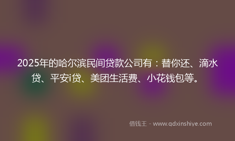 2025年的哈尔滨民间贷款公司有：替你还、滴水贷、平安i贷、美团生活费、小花钱包等。