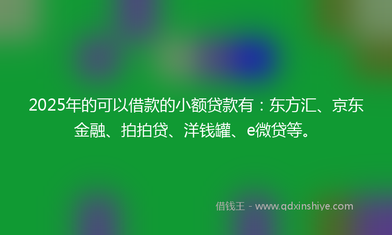 2025年的可以借款的小额贷款有：东方汇、京东金融、拍拍贷、洋钱罐、e微贷等。