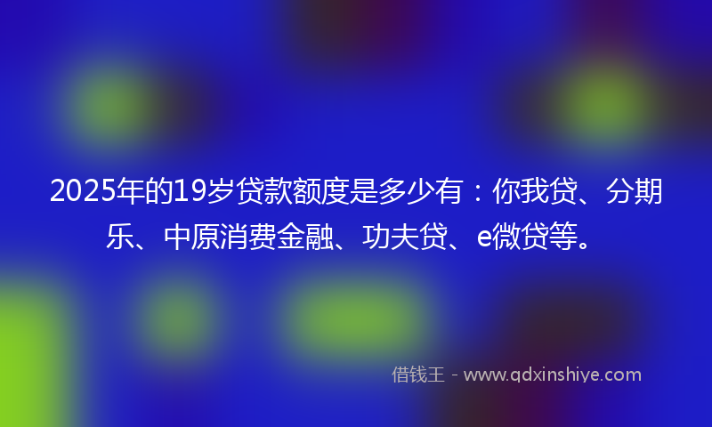 2025年的19岁贷款额度是多少有：你我贷、分期乐、中原消费金融、功夫贷、e微贷等。
