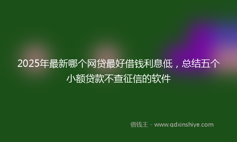 2025年最新哪个网贷最好借钱利息低，总结五个小额贷款不查征信的软件