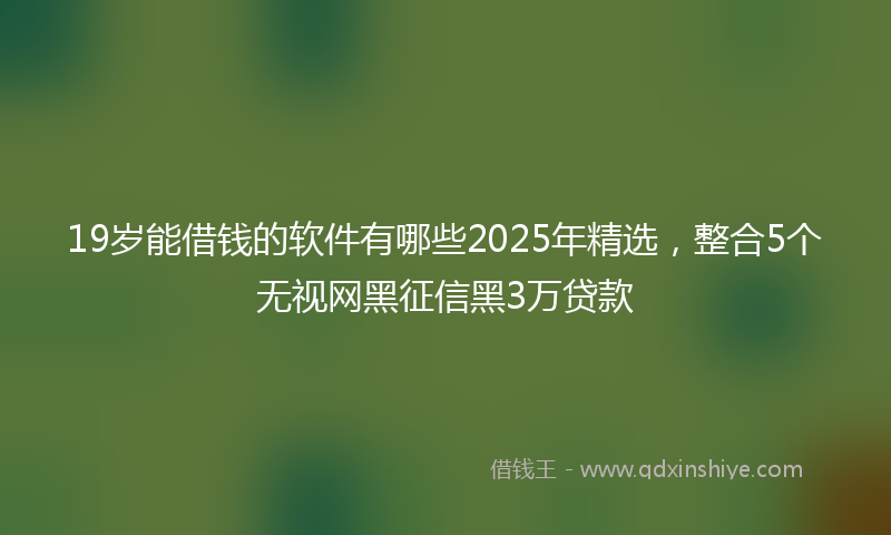 19岁能借钱的软件有哪些2025年精选，整合5个无视网黑征信黑3万贷款