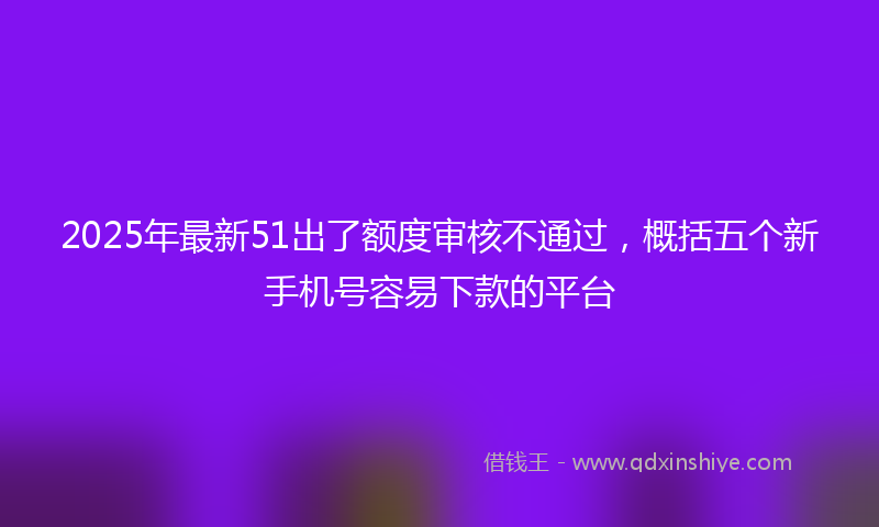 2025年最新51出了额度审核不通过，概括五个新手机号容易下款的平台