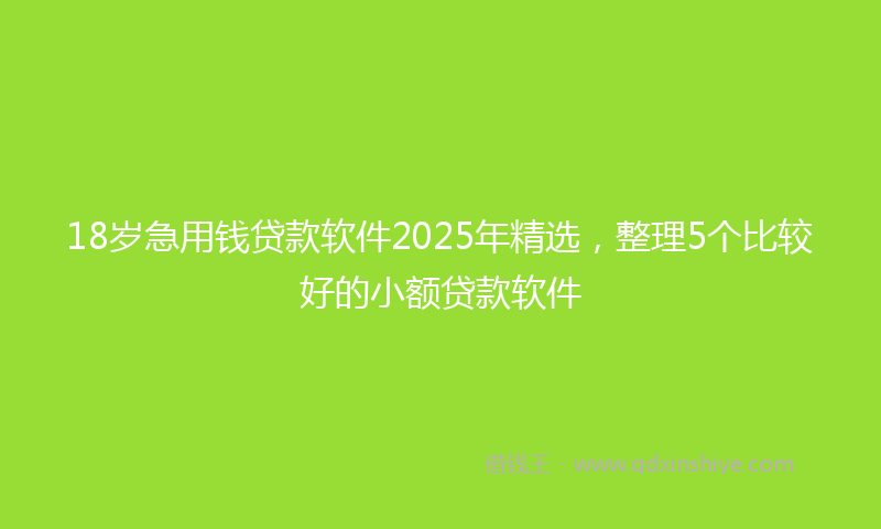18岁急用钱贷款软件2025年精选，整理5个比较好的小额贷款软件