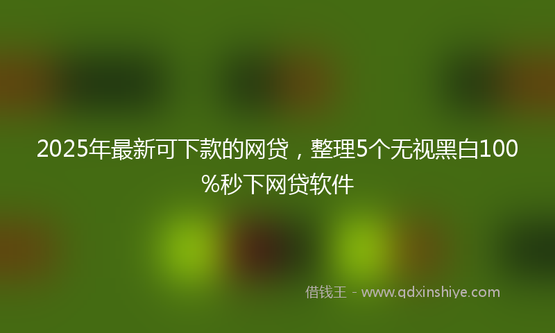 2025年最新可下款的网贷，整理5个无视黑白100%秒下网贷软件