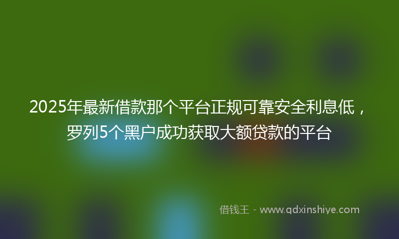 2025年最新借款那个平台正规可靠安全利息低，罗列5个黑户成功获取大额贷款的平台