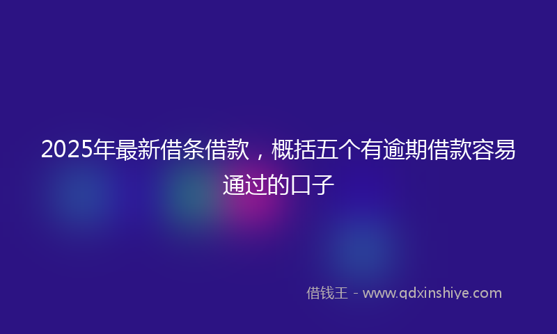 2025年最新借条借款，概括五个有逾期借款容易通过的口子