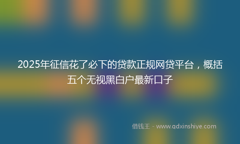 2025年征信花了必下的贷款正规网贷平台，概括五个无视黑白户最新口子