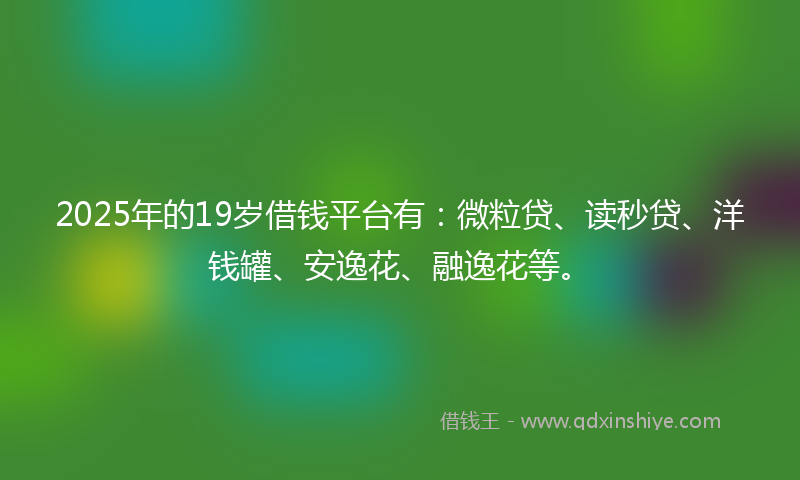 2025年的19岁借钱平台有：微粒贷、读秒贷、洋钱罐、安逸花、融逸花等。