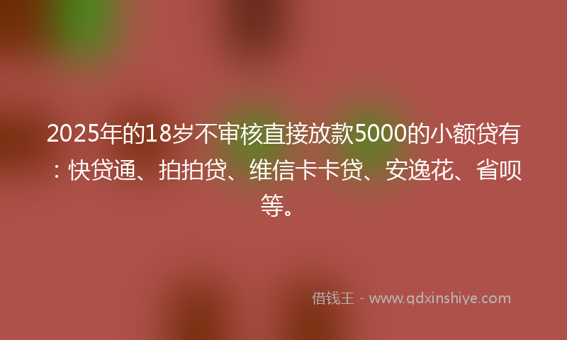 2025年的18岁不审核直接放款5000的小额贷有：快贷通、拍拍贷、维信卡卡贷、安逸花、省呗等。