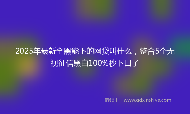 2025年最新全黑能下的网贷叫什么，整合5个无视征信黑白100%秒下口子