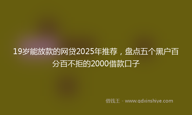 19岁能放款的网贷2025年推荐，盘点五个黑户百分百不拒的2000借款口子