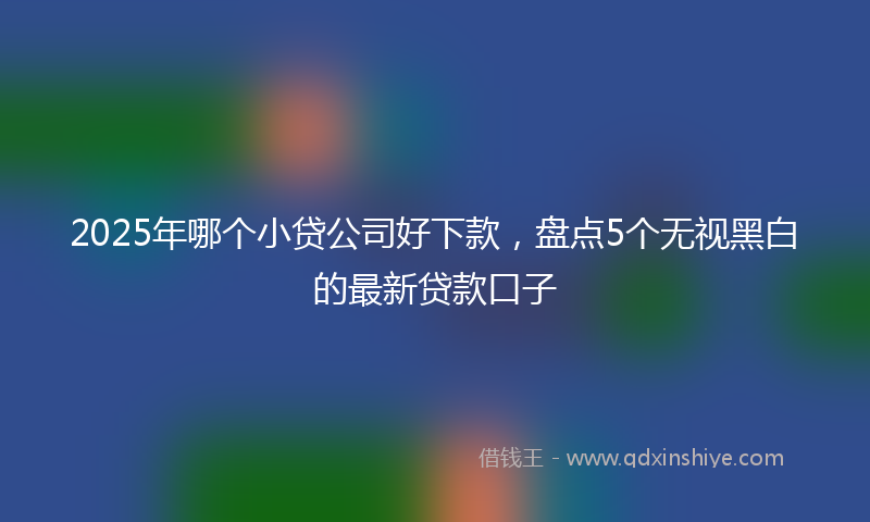 2025年哪个小贷公司好下款，盘点5个无视黑白的最新贷款口子