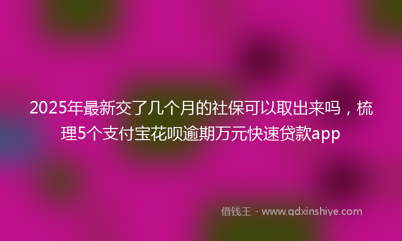 2025年最新交了几个月的社保可以取出来吗，梳理5个支付宝花呗逾期万元快速贷款app