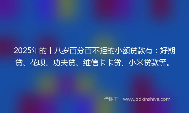 2025年的十八岁百分百不拒的小额贷款有：好期贷、花呗、功夫贷、维信卡卡贷、小米贷款等。