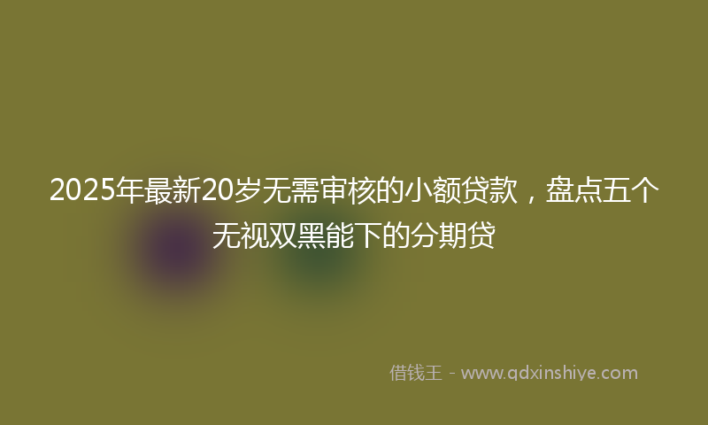 2025年最新20岁无需审核的小额贷款，盘点五个无视双黑能下的分期贷
