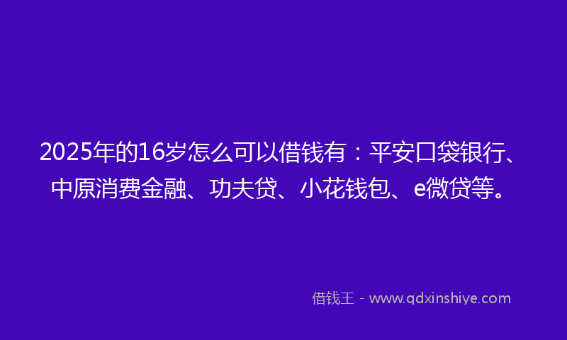 2025年的16岁怎么可以借钱有：平安口袋银行、中原消费金融、功夫贷、小花钱包、e微贷等。